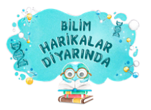 Ekran goruntusu 2026 07 29 202100